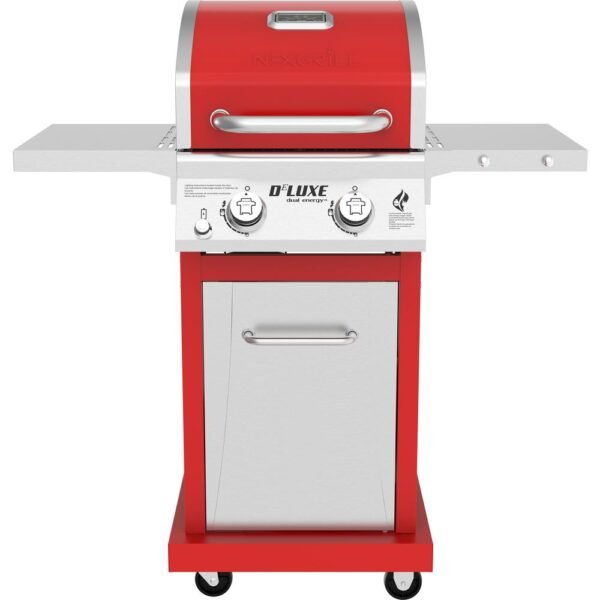 Deluxe 2-Burner Propane Gas Grill