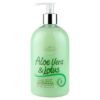Astonish Antibacterial Handwash Wildherb 500ml
